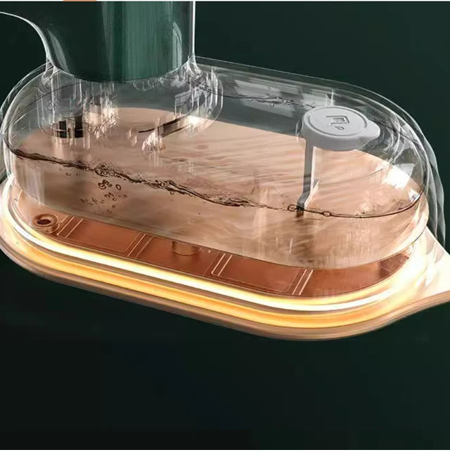 LuckyFind Mini Steam Iron